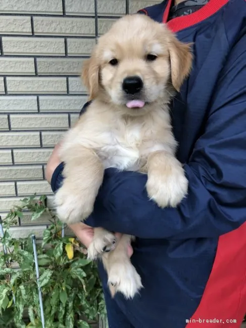 R PAPA 様のお迎えした子犬