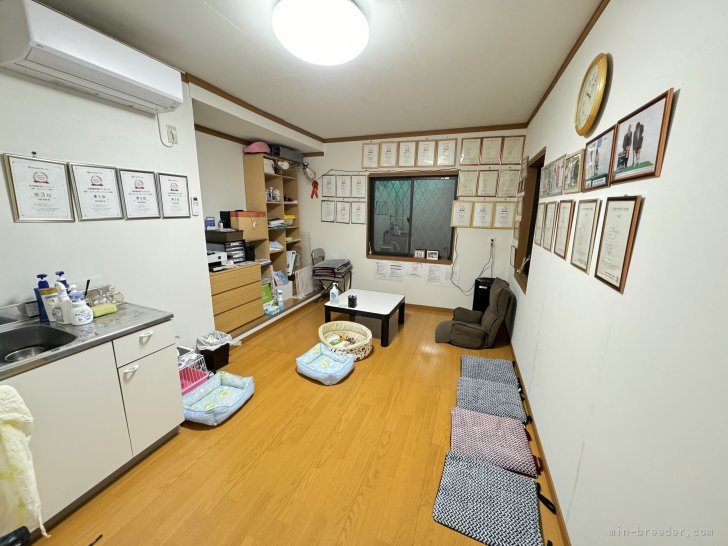 見学ルーム｜学原　里緒(がくはら　りお)ブリーダー(愛知県・カニンヘンダックスフンド(ロング)など・JKC登録)の紹介写真10