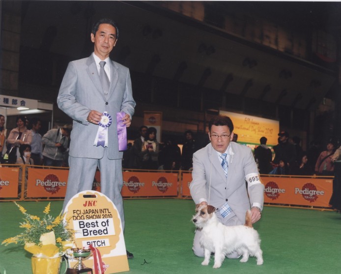 2010ジャパンインター(JKC本部展)犬種別BOB｜賀川　正美(かがわ　まさみ)ブリーダー(栃木県・ジャックラッセルテリアなど・JKC登録)の紹介写真1