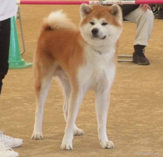 リングでの立ち込み姿