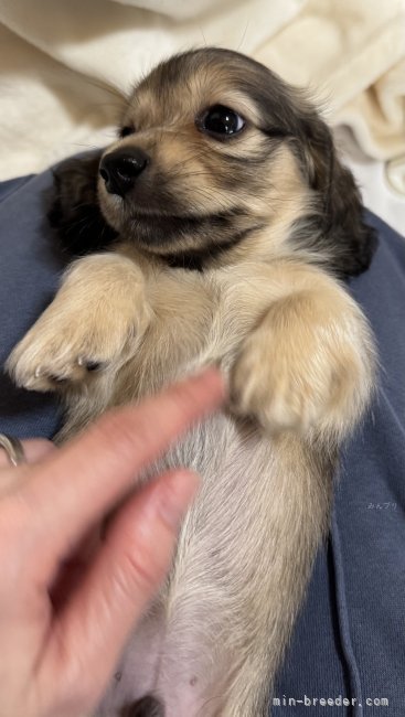 高橋真輝ブリーダーのブログ：僕だけ