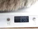豆柴【鹿児島県・女の子・2025年4月4日・赤色】の写真2「体重は896gでした❗️」