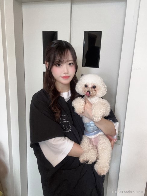 藤井美幸ブリーダー