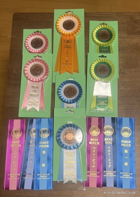 金秀妍ブリーダーのブログ：ポメラニアン1位BOB