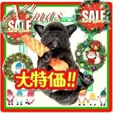 フレンチブルドッグ