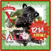 フレンチブルドッグ