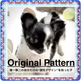 チワワ(ロング)