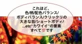 チワワ(ロング)【大阪府・男の子・2025年8月20日・ブラウン&ホワイト/煎りたてのコーヒー豆とミルク色】の写真4「この子レベルになると、掲載して気になってるうちに即！いなくなってしまいます（注）」