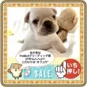 フレンチブルドッグ【大阪府・男の子・2025年7月8日・クリーム(※可愛い見た目と良くマッチしています✨)】の写真4「ご見学にはご予約が必要です。ご希望日が決まりましたら🈳状況をなるべくお早めにご確認下さいませ」