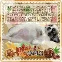 チワワ(ロング)【大阪府・男の子・2025年8月20日・ブラウン&ホワイト/煎りたてのコーヒー豆とミルク色】の写真9「ちなみに、当社は親犬舎/産室保育室など目的ごとに施設が違う地域にございます」