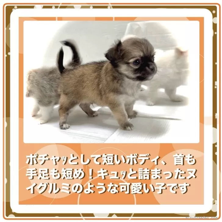 ②まめ✳︎プロフィールお読みください✳︎様 眠たく