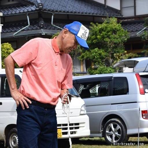 日本犬保存会展でのハンドリング風景｜有藤　収士朗(ありとう　しゅうじろう)ブリーダー(島根県・柴犬・日本犬保存会登録)の紹介写真1