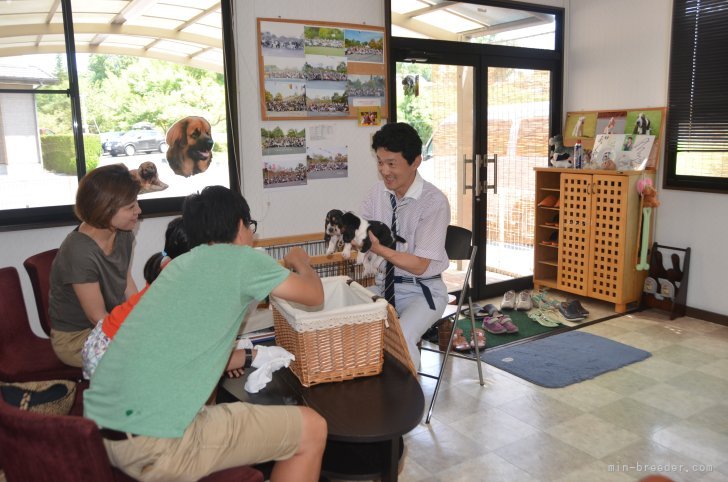 ゲストルームで説明中です｜井上　正樹(いのうえ　まさき)ブリーダー(三重県・バセットハウンドなど・JKC登録)の紹介写真1