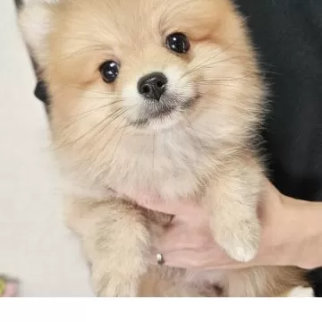 child_img_1_thumb_mob_cd43d9db