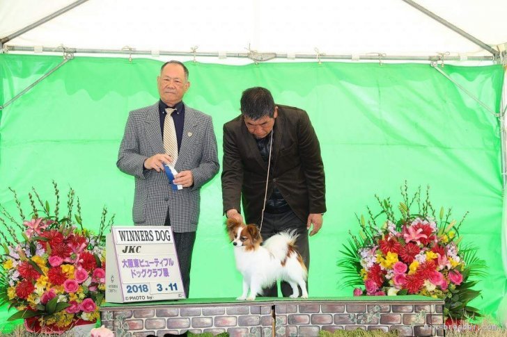 WD ウィナーズ戦　日に日に上手くなってます！