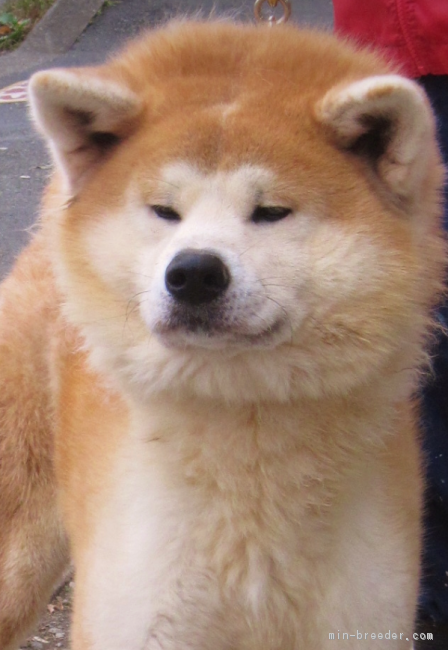 威風堂々たる姿のシンちゃんです😉🌸