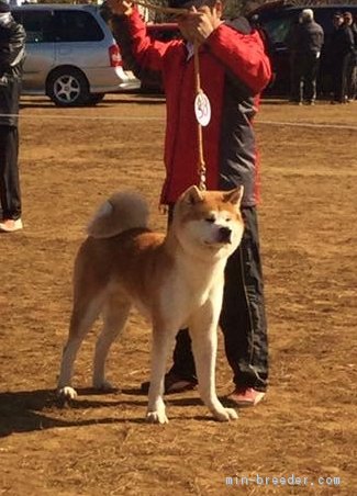 威風堂々たる姿です😉🌸