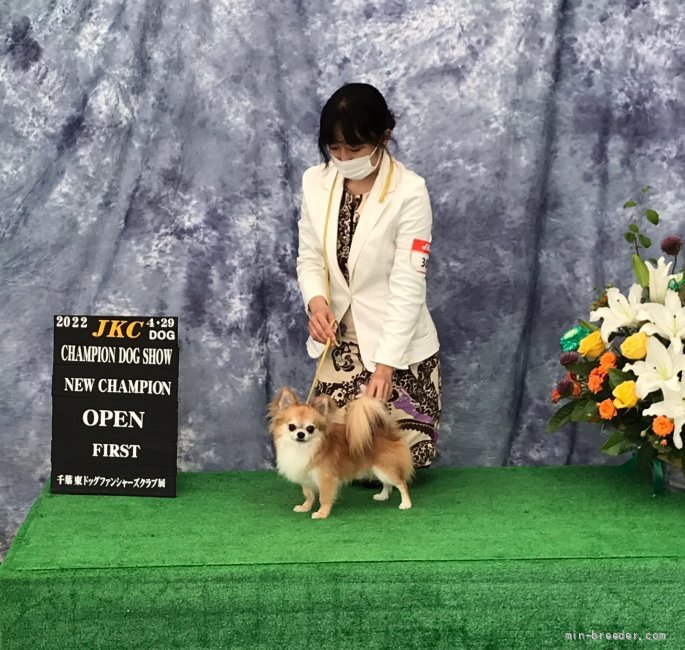 チャンピオン完成時の写真です。