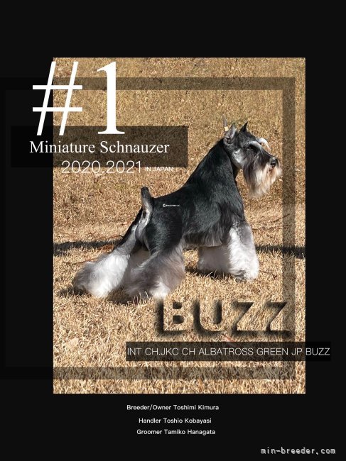 INTCH バス　｜木村　敏美(きむら　としみ)ブリーダー(埼玉県・ゴールデンレトリバーなど・JKC登録)の紹介写真4