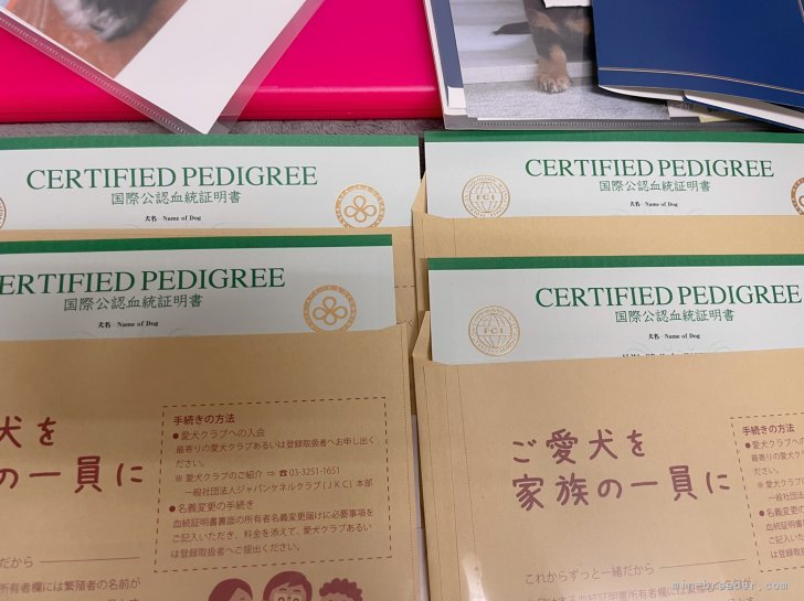 宮脇寿一ブリーダーのブログ：血統書届きました