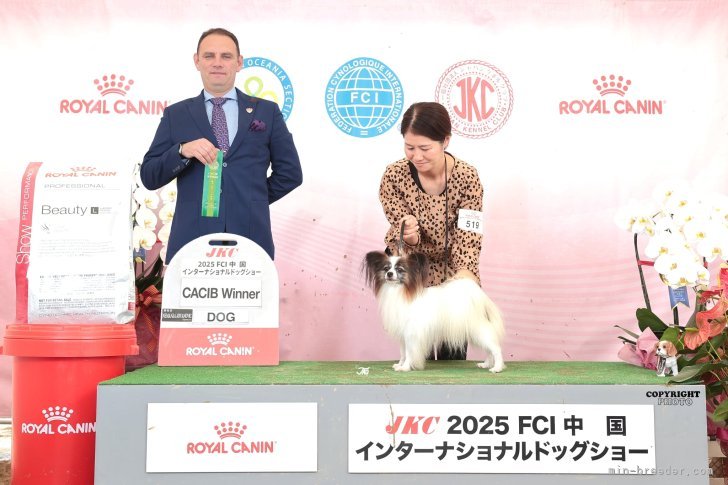 宮内美里ブリーダーのブログ：三郎君チャンピオンクラス