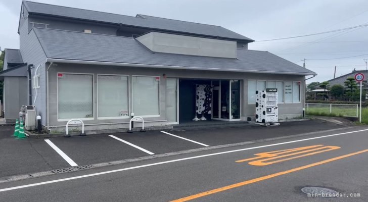 自宅兼犬舎 テナントにカフェが入っています🧋｜松下　千春(まつした　ちはる)ブリーダー(鹿児島県・パグなど・JKC登録)の紹介写真9