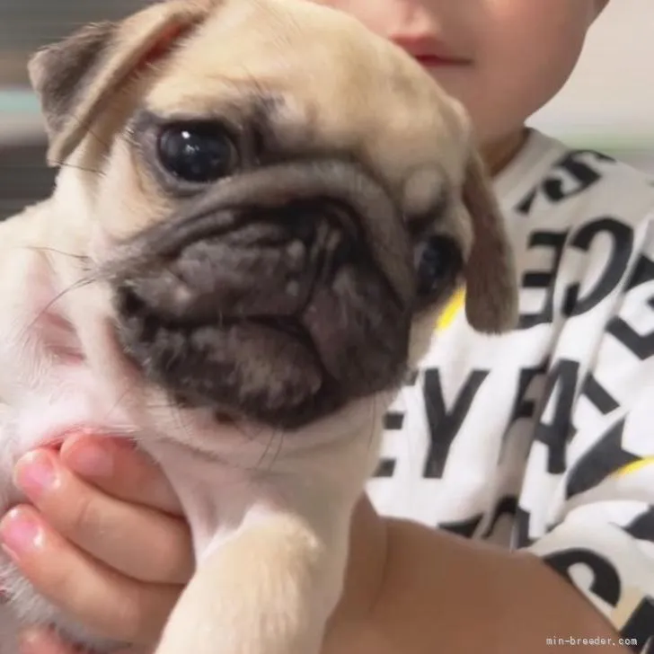 K.H 様のお迎えした子犬