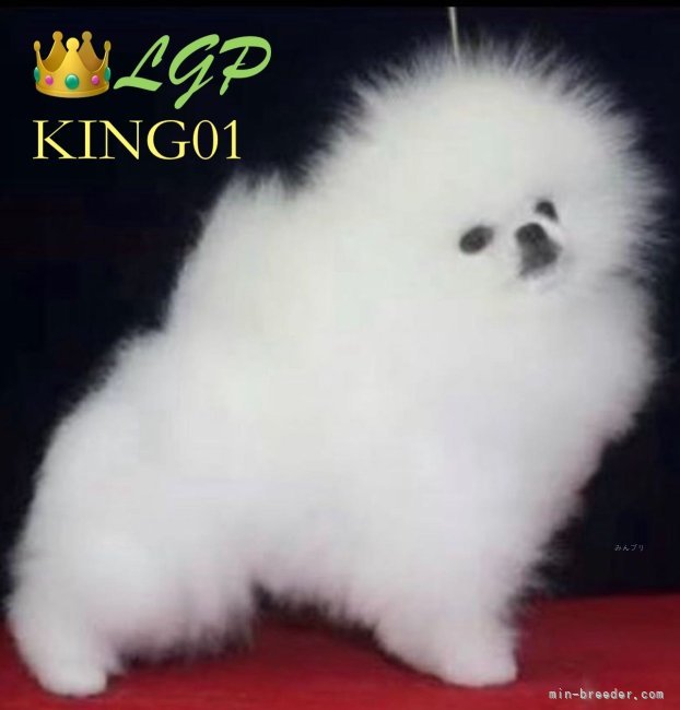 CHIAO LI YA