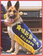 碇　良博(いかり　よしひろ)ブリーダー(三重県・ゴールデンレトリバーなど・ＰＤ(日本警察犬協会)登録)の紹介写真3