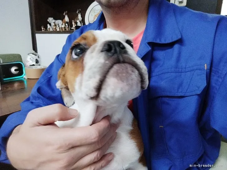 T.S 様のお迎えした子犬