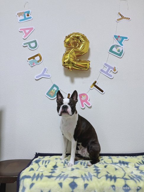 矢野貴久ブリーダーのブログ：お誕生日おめでとう♫