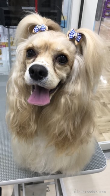 原田諒ブリーダー