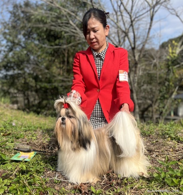 槻木百合ブリーダーのブログ：岡山県から鳥取県米子市へ移動
