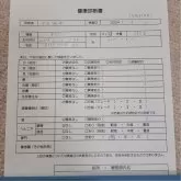チワワ(ロング)【愛知県・女の子・2024年1月30日・ホワイト&ブラック】の写真5「3/11撮影」
