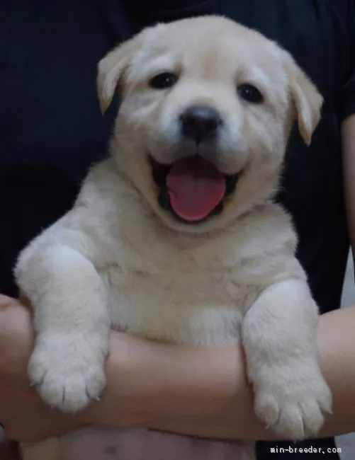 M.G 様のお迎えした子犬