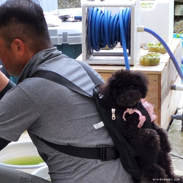 荒谷拓郎ブリーダー