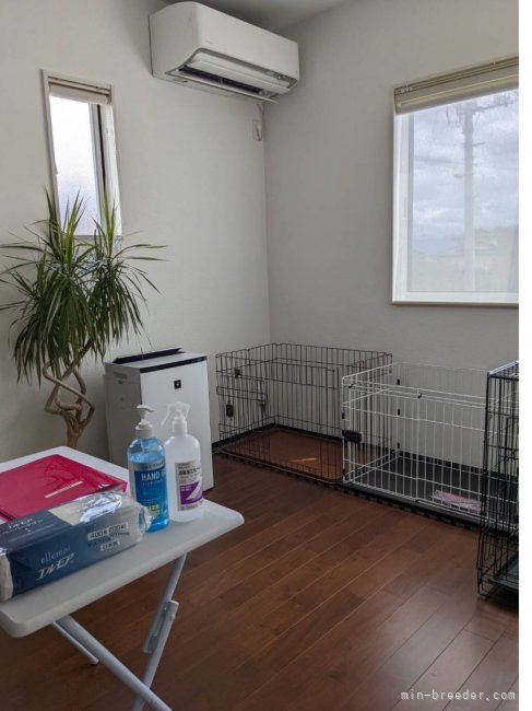 親犬と子犬のスペースです。｜輿石　有里(こしいし　ゆり)ブリーダー(山梨県・ドーベルマン・JKC登録)の紹介写真6