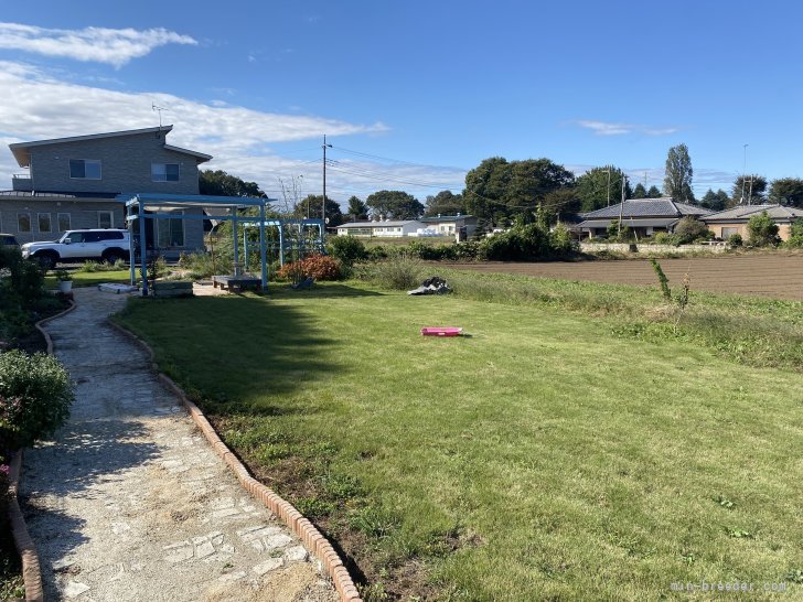 山口　和已(やまぐち　かずみ)ブリーダー(栃木県・ミニチュアダックスフンド(ロング)など・JKC登録)の紹介写真2