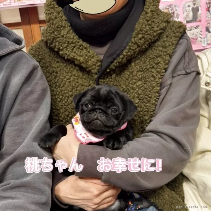 K.T 様のお迎えした子犬