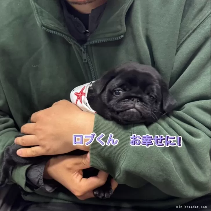 S.K 様のお迎えした子犬
