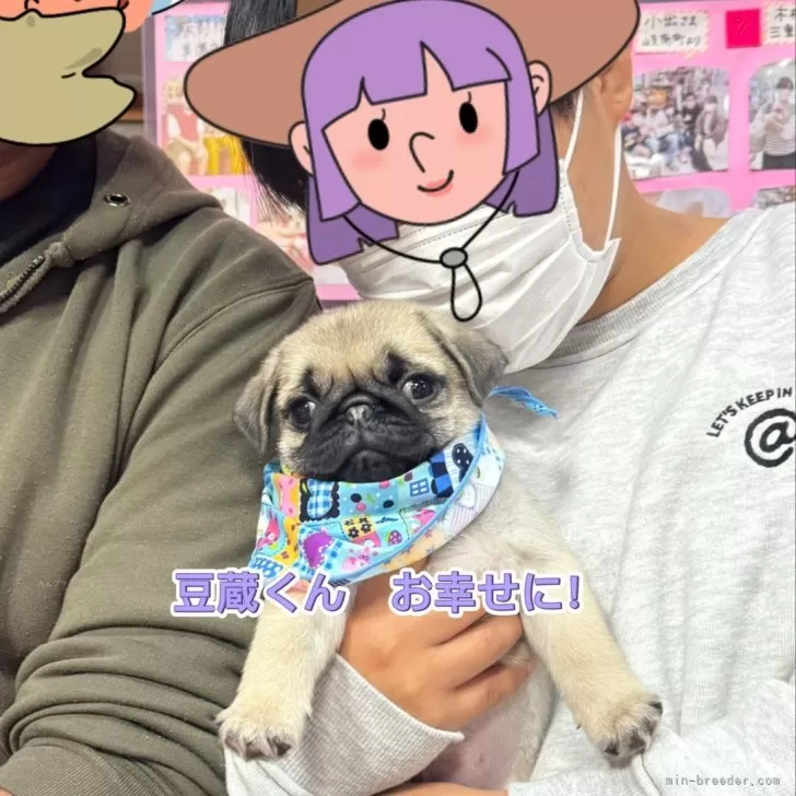 ID:2410-06228の子犬