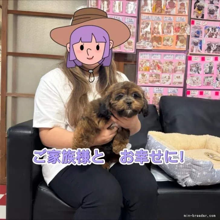 ID：2408-00922の子犬