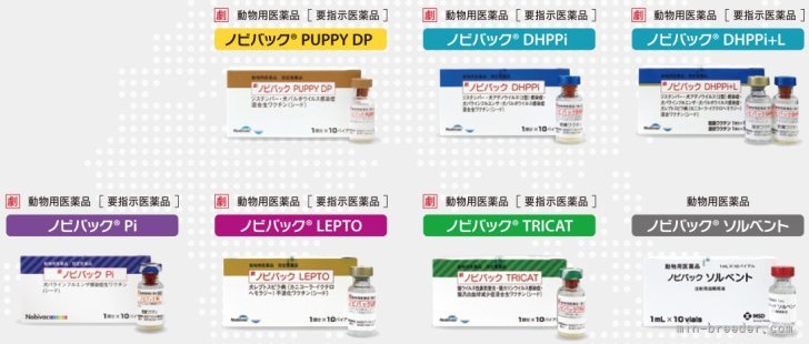 当犬舎動物診療所にて、狂犬病予防接種は勿論、混合ワクチンや駆虫薬も定期接種。｜大池　澄人(おおいけ　すみと)ブリーダー(兵庫県・フレンチブルドッグ・JKC登録)の紹介写真5