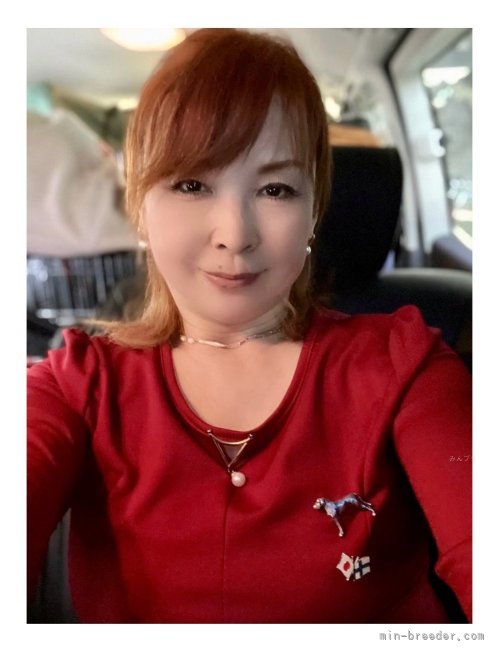伊藤　成美(いとう　なりみ)ブリーダー(東京都・グレートデン・JKC登録)の紹介写真3