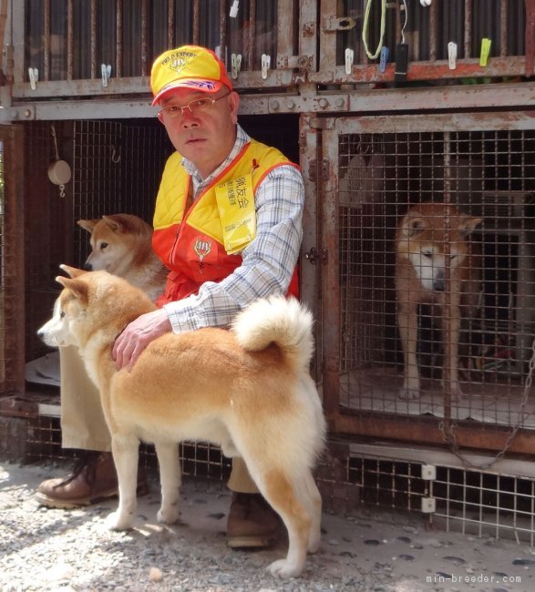 有害獣駆除・展覧会に参加して、常に日本犬の本質を求めております。｜辻岡　勝治(つじおか　かつじ)ブリーダー(奈良県・柴犬など・日本犬保存会登録)の紹介写真1