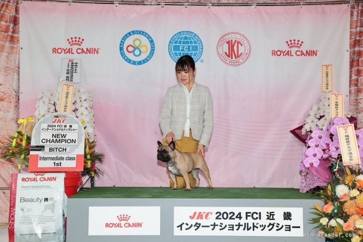 古原　篤史(こはら　あつし)ブリーダー(岡山県・ゴールデンレトリバーなど・JKC登録)の紹介写真5