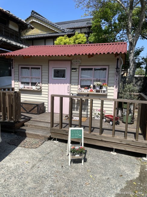 可愛いタイニーハウスへ遊びに来てね❤️｜楠原　薫(くすはら　かおる)ブリーダー(福岡県・トイプードル・JKC登録)の紹介写真6