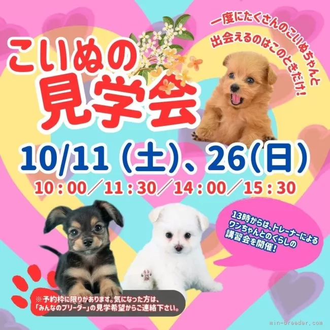 みときち　オープンカーの探偵犬　階段のある風景 43-2.jpg