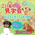 トイプードル(トイ)【岐阜県・男の子・2025年5月31日・レッド】の写真2「見学会開催決定🎉 気になるワンちゃんたちを一度に見られるチャンスはここだけ🐶」