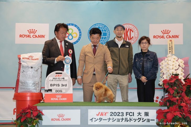 大阪インターナショナルドッグショー⭐️｜中島　なづな(なかじま　なづな)ブリーダー(滋賀県・チワワ(ロング)など・JKC登録)の紹介写真6